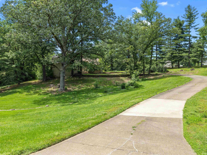 Listing Image 49