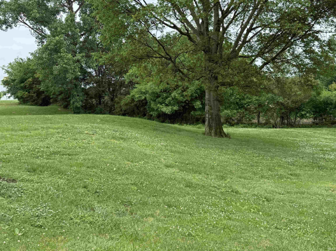 Listing Image 42
