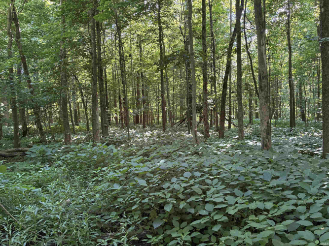 Listing Image 18