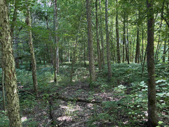 Listing Image 22