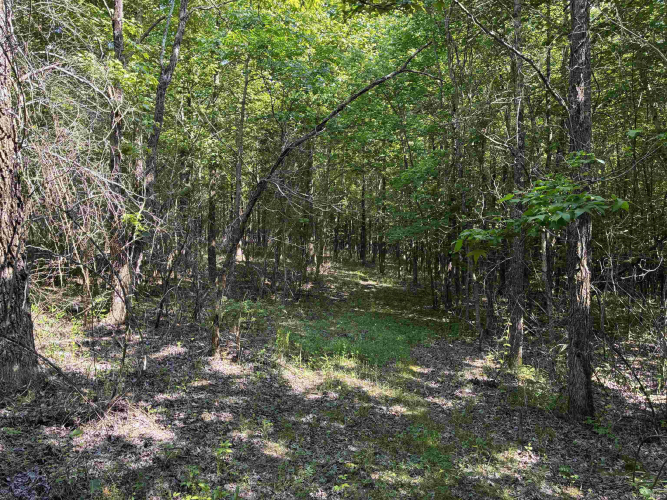 Listing Image 24