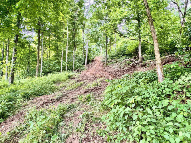 Listing Image 18