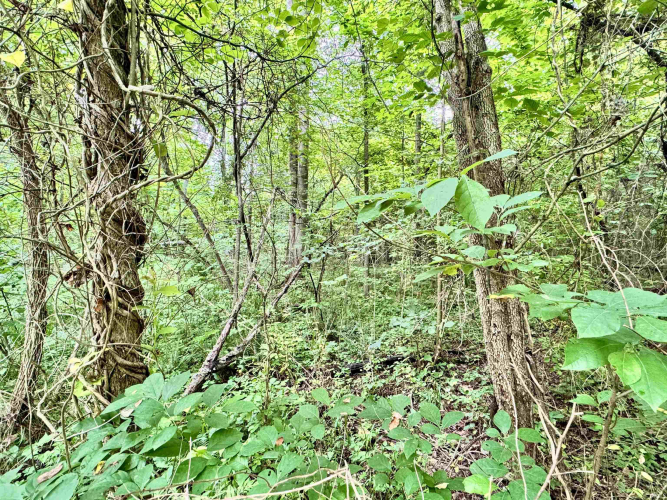 Listing Image 23