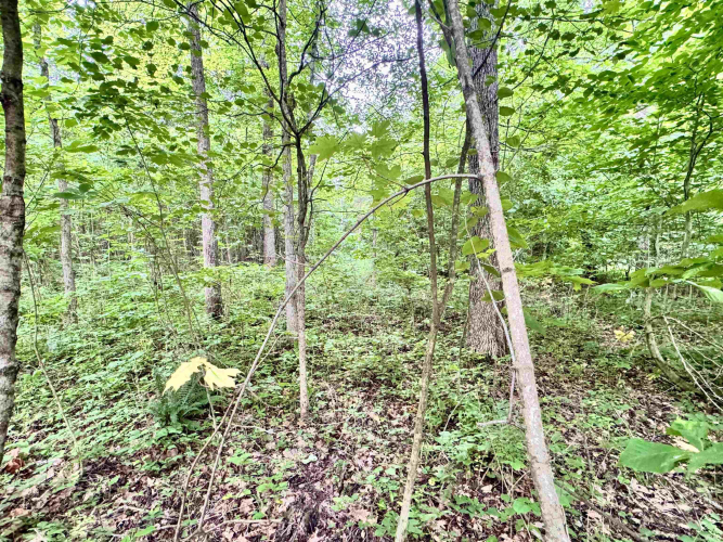 Listing Image 24