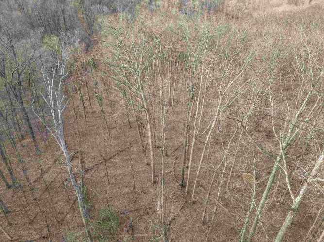 Listing Image 29