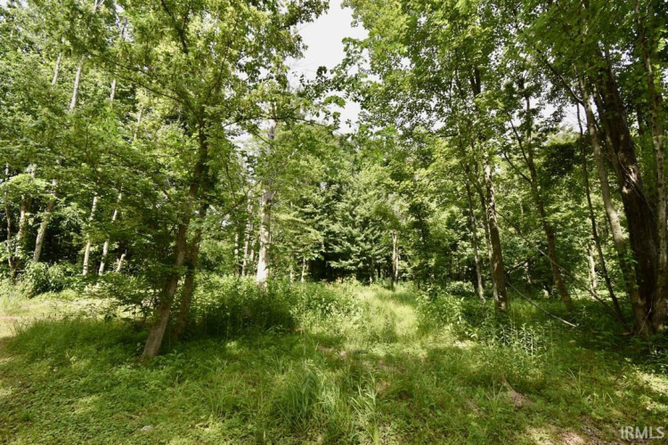 Listing Image 6