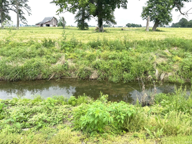 Listing Image 24