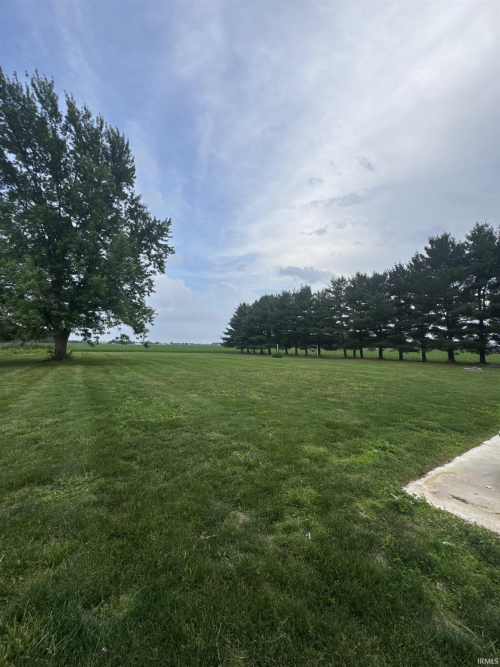 Listing Image 28