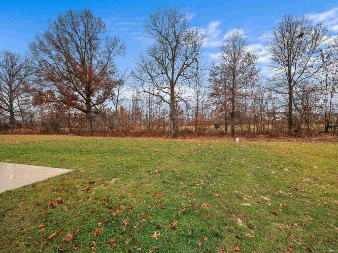 Listing Image 31