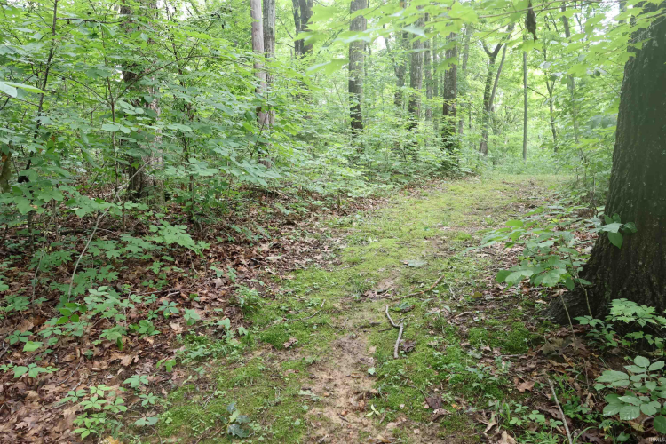 Listing Image 45
