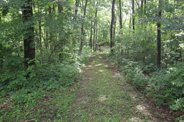 Listing Image 46