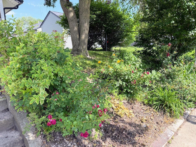 Listing Image 20