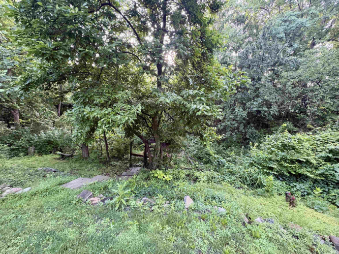 Listing Image 44
