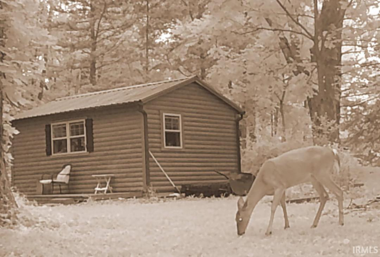 Listing Image 19