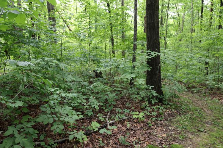 Listing Image 36