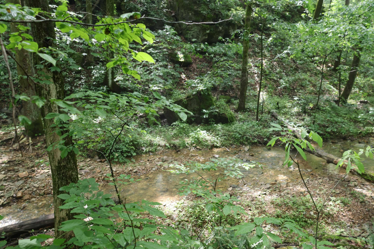 Listing Image 38