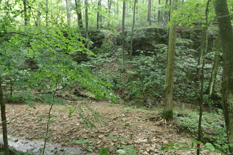 Listing Image 40
