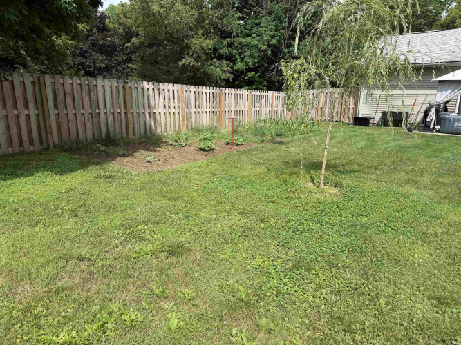Listing Image 18