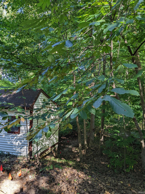 Listing Image 49
