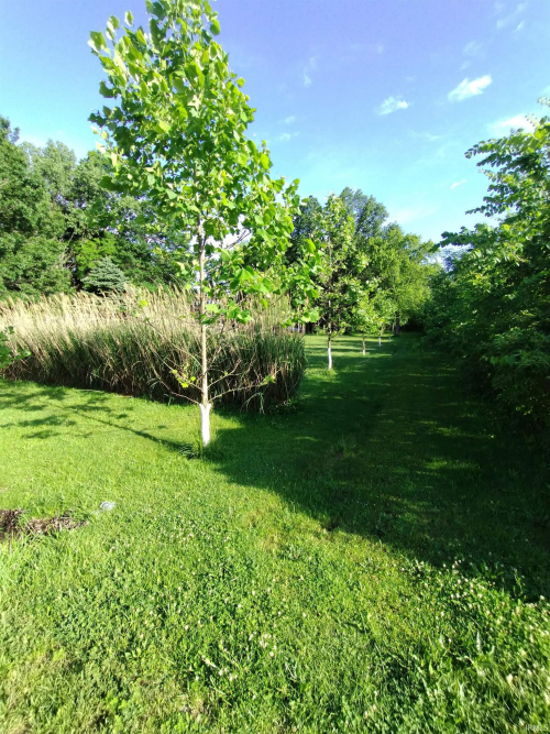 Listing Image 12