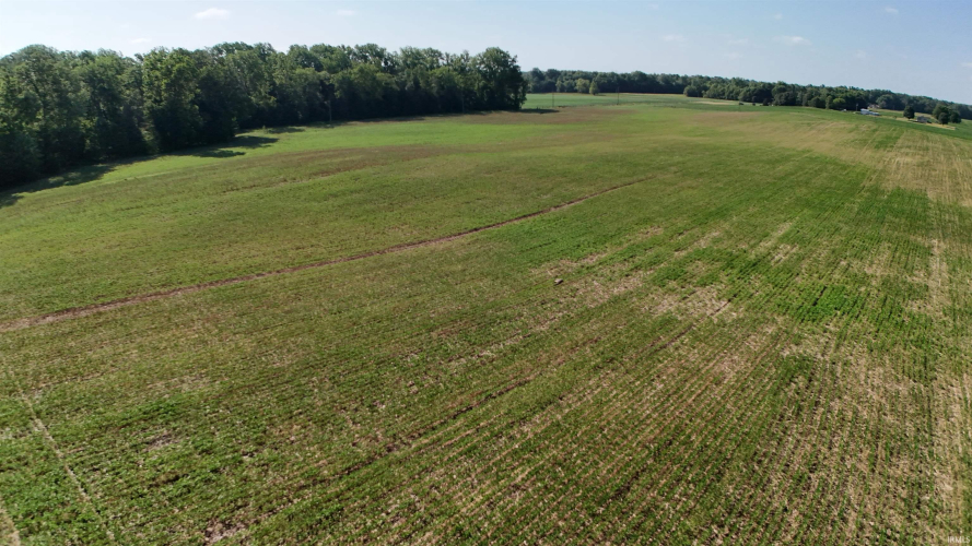 Listing Image 24