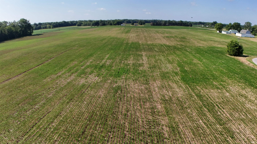 Listing Image 26