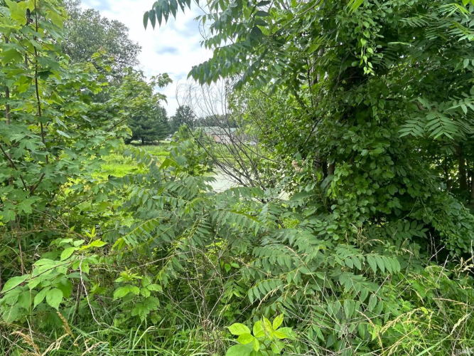 Listing Image 37