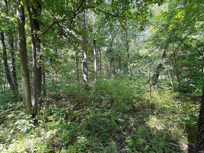 Listing Image 29