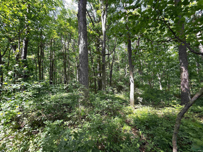 Listing Image 30
