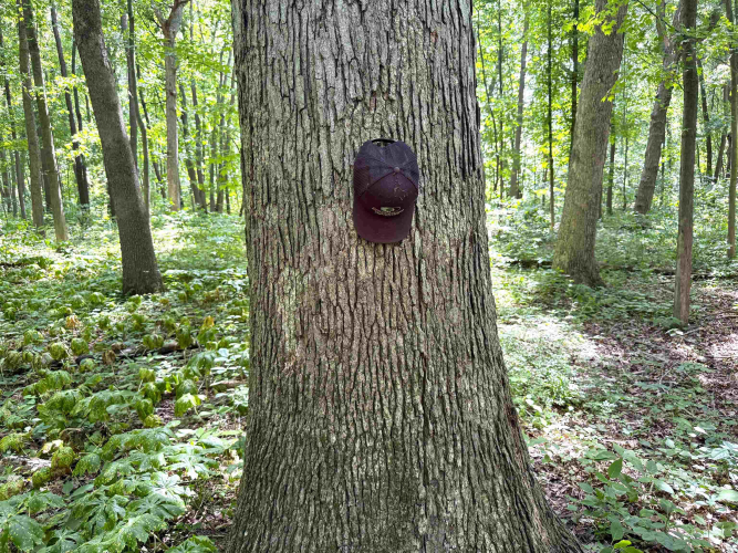 Listing Image 33