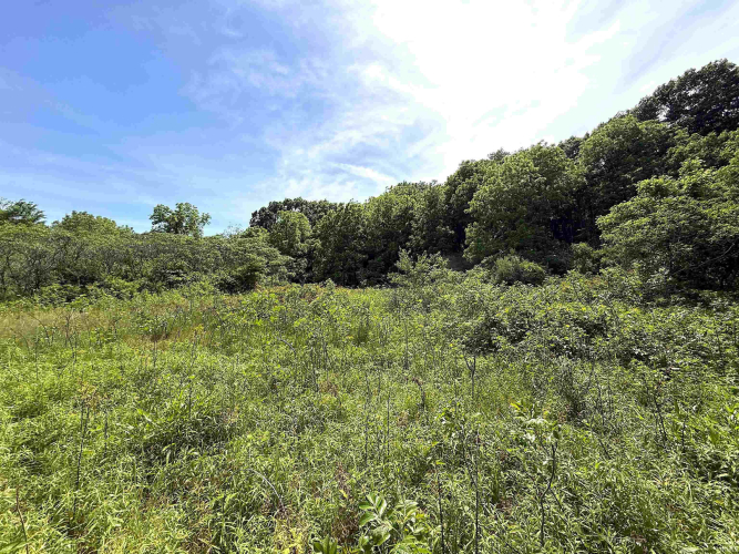 Listing Image 36
