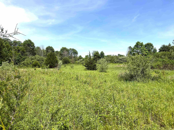 Listing Image 38