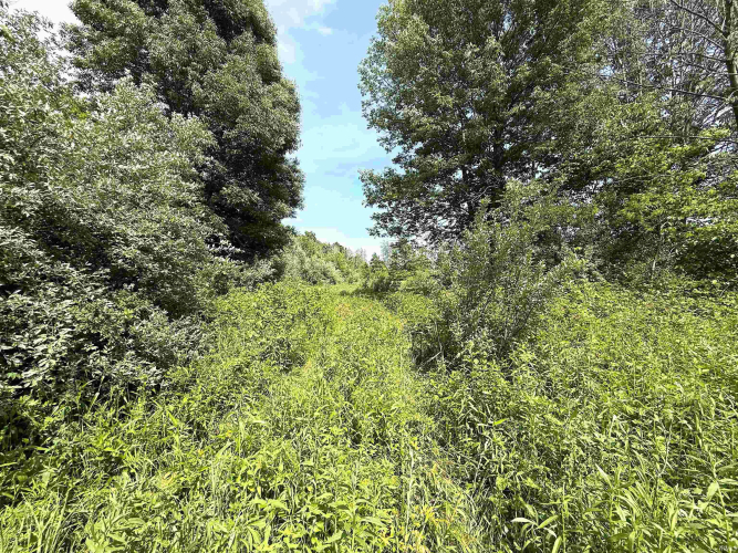 Listing Image 39