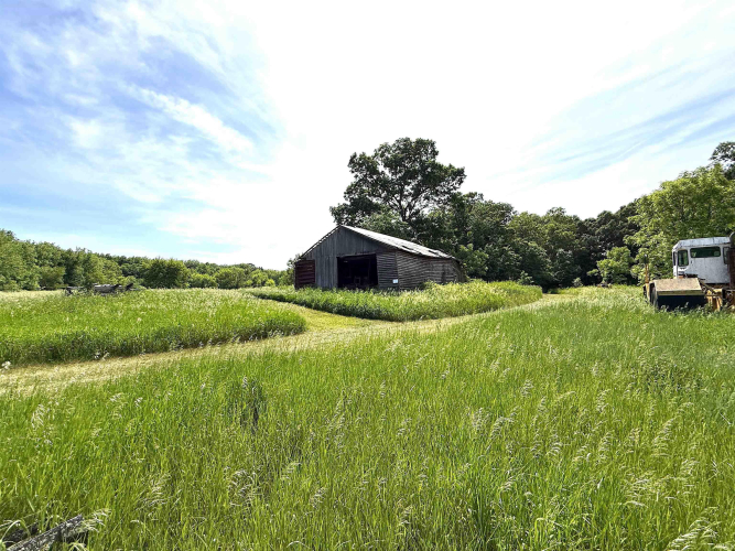 Listing Image 41