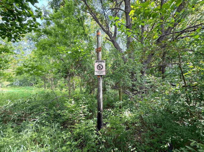 Listing Image 43