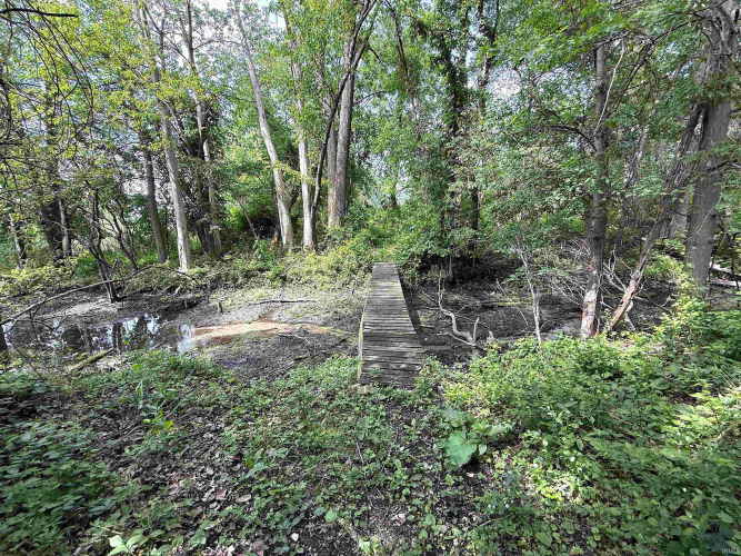 Listing Image 45