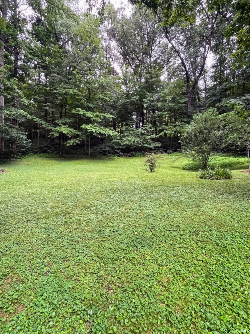 Listing Image 27