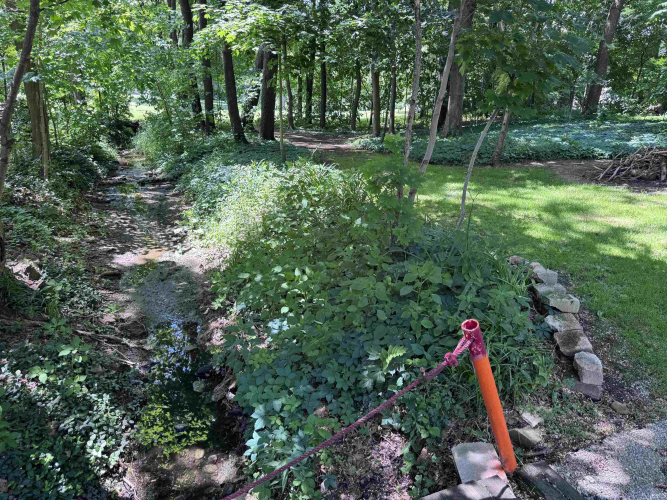 Listing Image 49