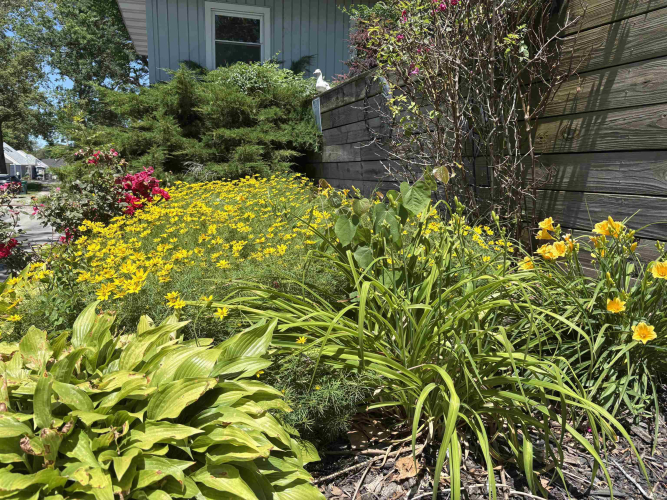 Listing Image 32