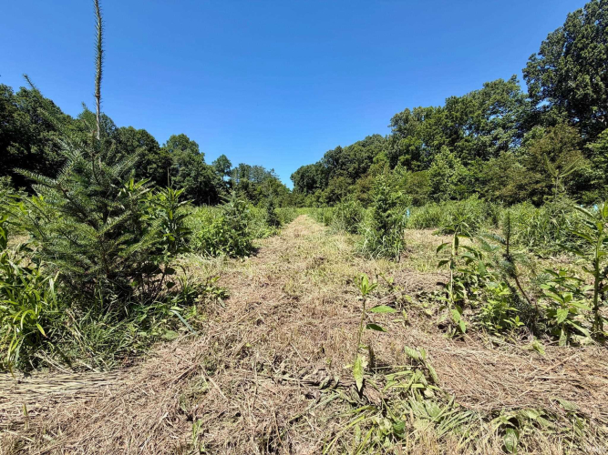 Listing Image 11