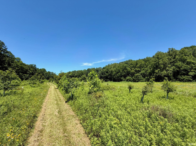 Listing Image 21
