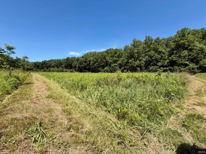 Listing Image 22