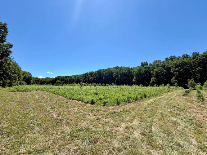 Listing Image 23