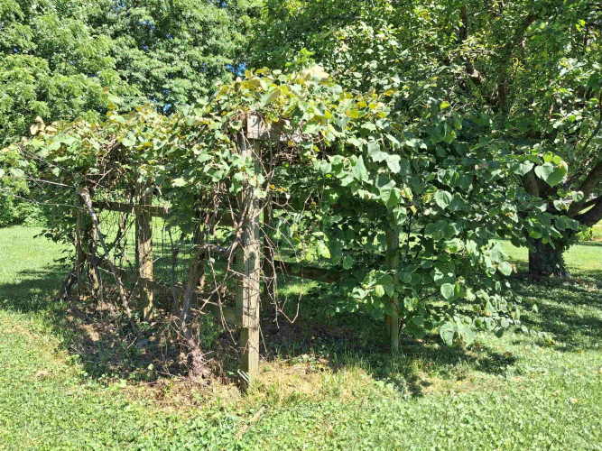 Listing Image 34