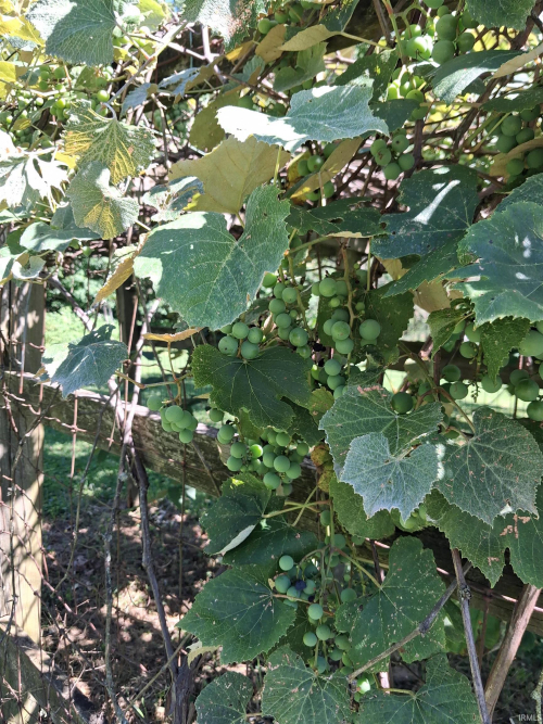 Listing Image 35