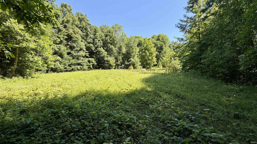 Listing Image 32