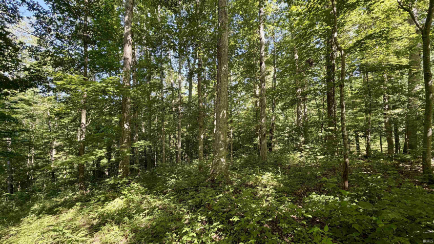 Listing Image 33