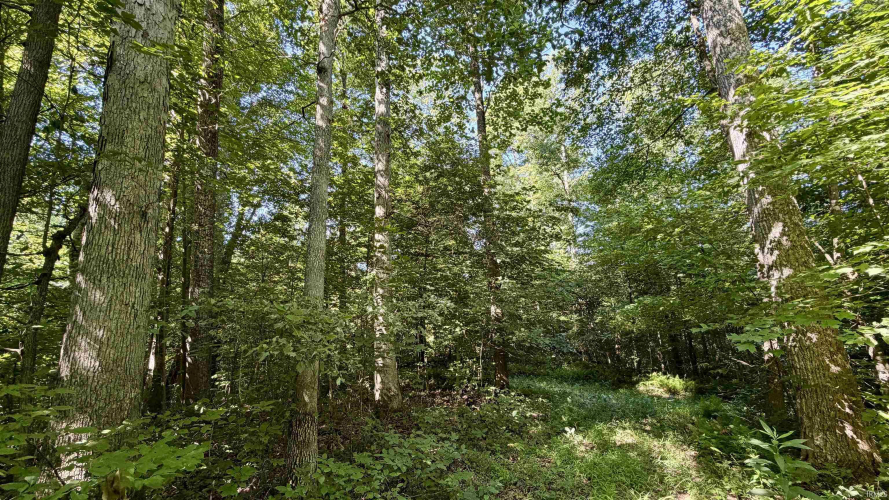 Listing Image 36