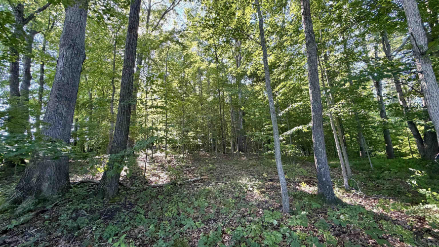 Listing Image 37