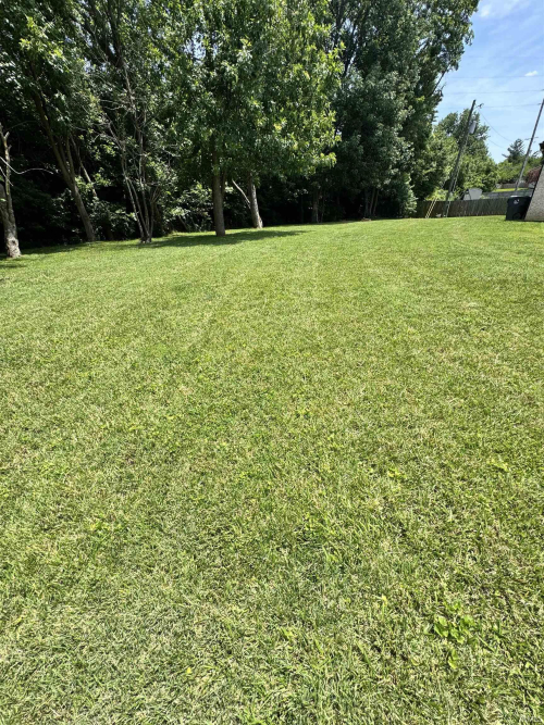 Listing Image 38